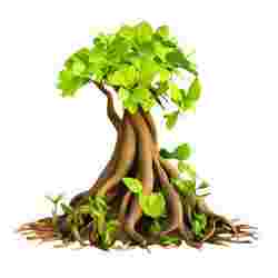 Enchanted Tree with Vibrant Leaves