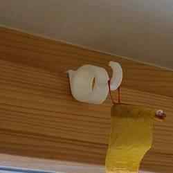 Window or door hook - non-destructive
