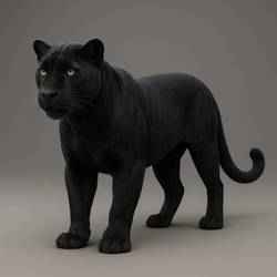 3D Render of a Black Panther