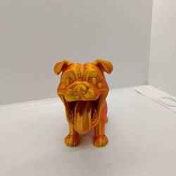Chiot grande gueule