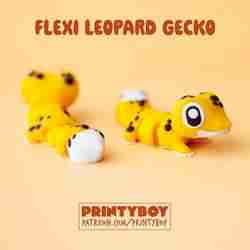 Printyboy - Leopard Gecko