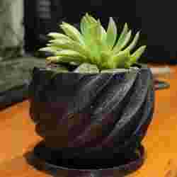 Spiral Flowerpot with Plate (small)