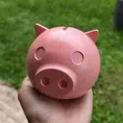 Piggy bank