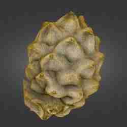 Yellow Dragon Fruit 5-Piece Pack — Whole, Halves & Empty Peels — Laser-Scanned 3D Models (500k & 1.5M OBJ/STL) - By ScanPantry