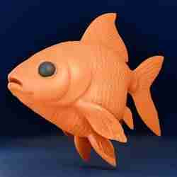 Gold fish