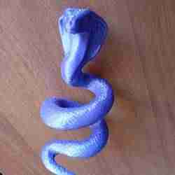 Curtain Holder Spiral Cobra