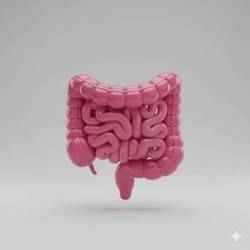 intestine