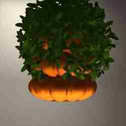 Hanging basket