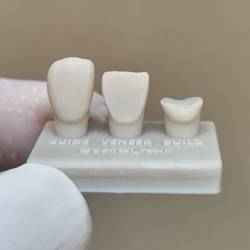 Anterior teeth 11 for training