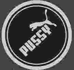 NOT-PUMA-COASTER