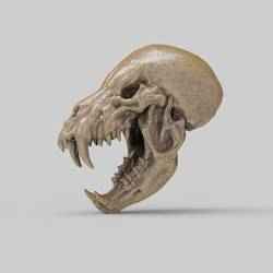 Werewolf Skull
