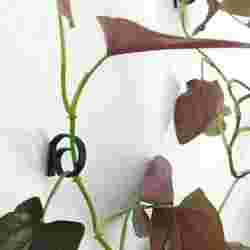 Plant holder clip - for climbing and trailing plants