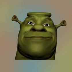 Shrek Container