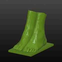 Feet planter/ vase