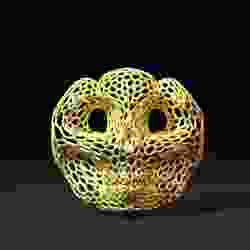 Mask Voronoi