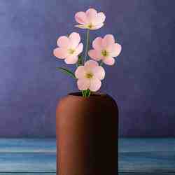 modern vase