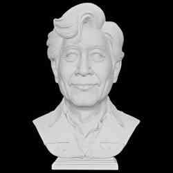Stylish Male Portrait Bust