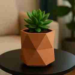 Minimal Vase for Small Plants - Home Design