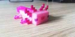 Minecraft Axolotl 1.17'den itibaren