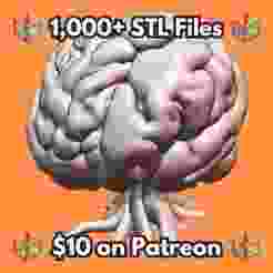 28mm Brain Tree Organic Tentacles Mutated Growth Sci-Fi Structure MineeForm FDM 3D Print STL File