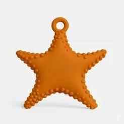 3D Starfish Design / 3D Model of Starfish - FLOATED OR RELIEVED