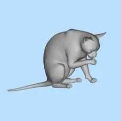 42 Kitten eating hands pet miniature scene model