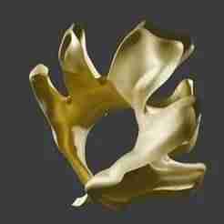 A ring made of an oak leaf
