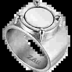 Adrien By chat noir ring (military cobra) design based on the zag store design