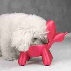Air Pup Pet Bowl Stand