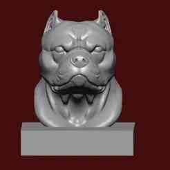 American Bully face bust