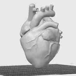 ❤️ Anatomical heart clutch with magnetic closure