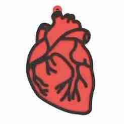 Anatomical Heart Earring