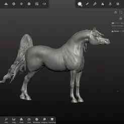 Arabian stallion model horse sculpture Sahad