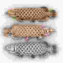 arowana fish relief