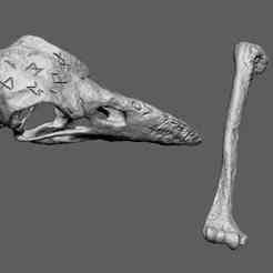 Bird skull hairpin