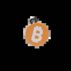 Bitcoin Keychain - Logo Orange