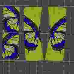 Blue Butterfly Decorative Hair Clip Plates - Commerical Usage
