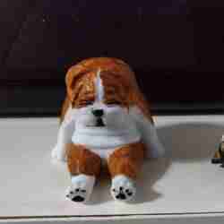 Bulldog
