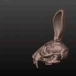 Bunny Skull