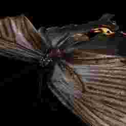 Butterfly BEE HEAD ANIMAL 3D RIGGED GRASS INSECT FLYING GAME READY