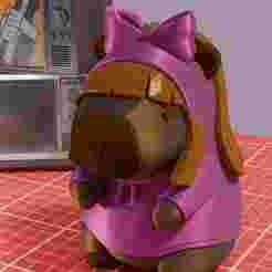 Capybara - Blossom Hoodie - Powerpuff Girls
