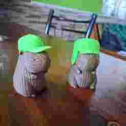 capybara with assorted helmets