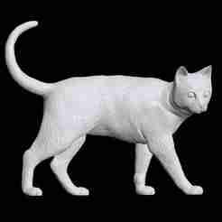Cat 3D Print model 3D print model