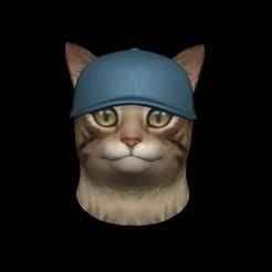 Cat Cap Hat (wearable for cat)