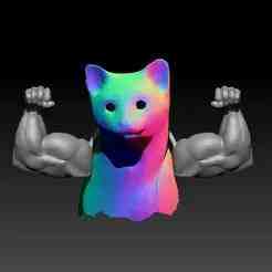 Cat Muscle ARM - V2