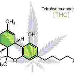 [Clipper Sleeve] THC Molecule