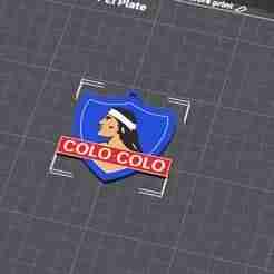 Colo colo key ring