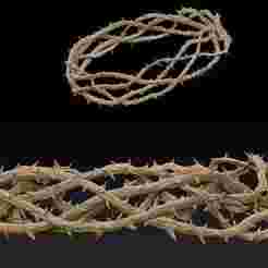CROWN OF THORNS MOD. 2