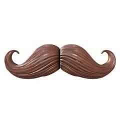 Curly Mustache 3D Model