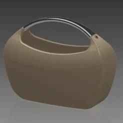Designer handbag